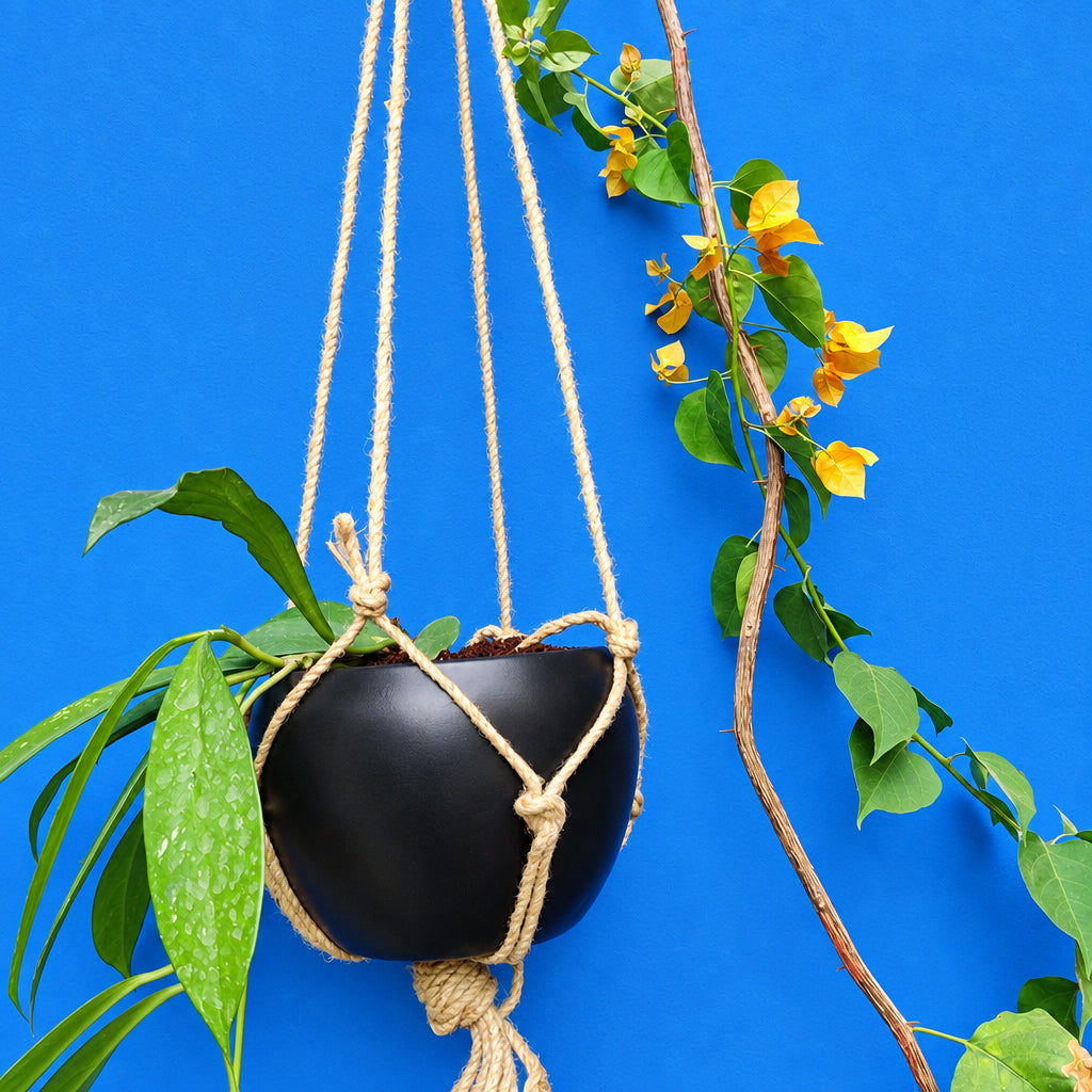 Galaxial Black Hanging Metal Pot with Rope - myBageecha
