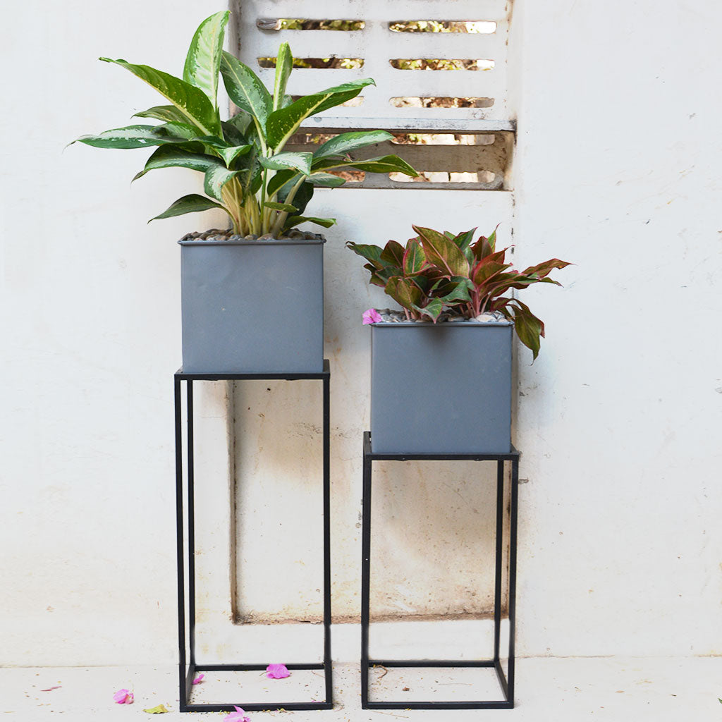 Gravel Grey Metal Pot with Stand (Set of 2) - myBageecha