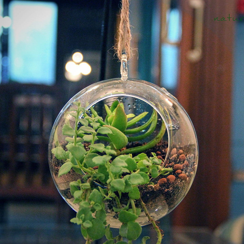 globe planter hanging Medium Round Globe Hanging Planter