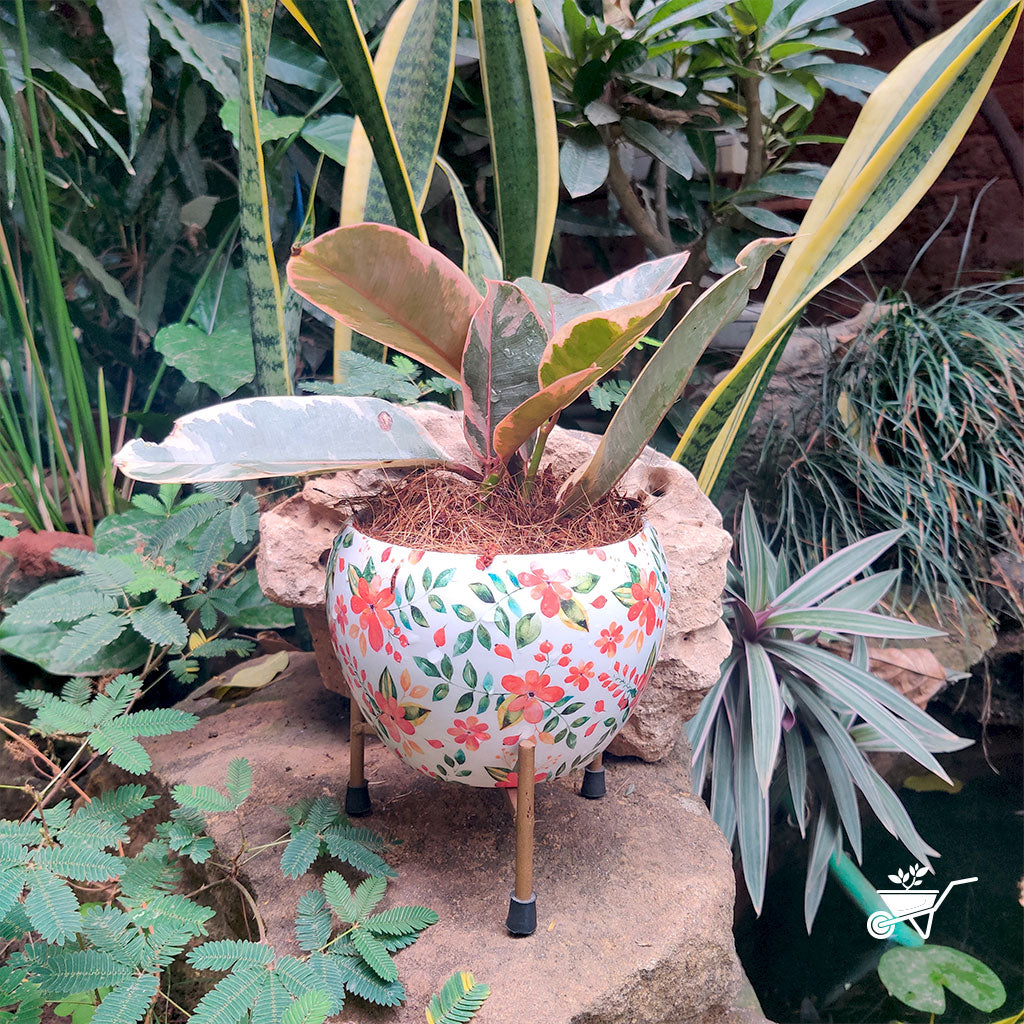 Hazy Bloom Metal Pot with Stand - myBageecha