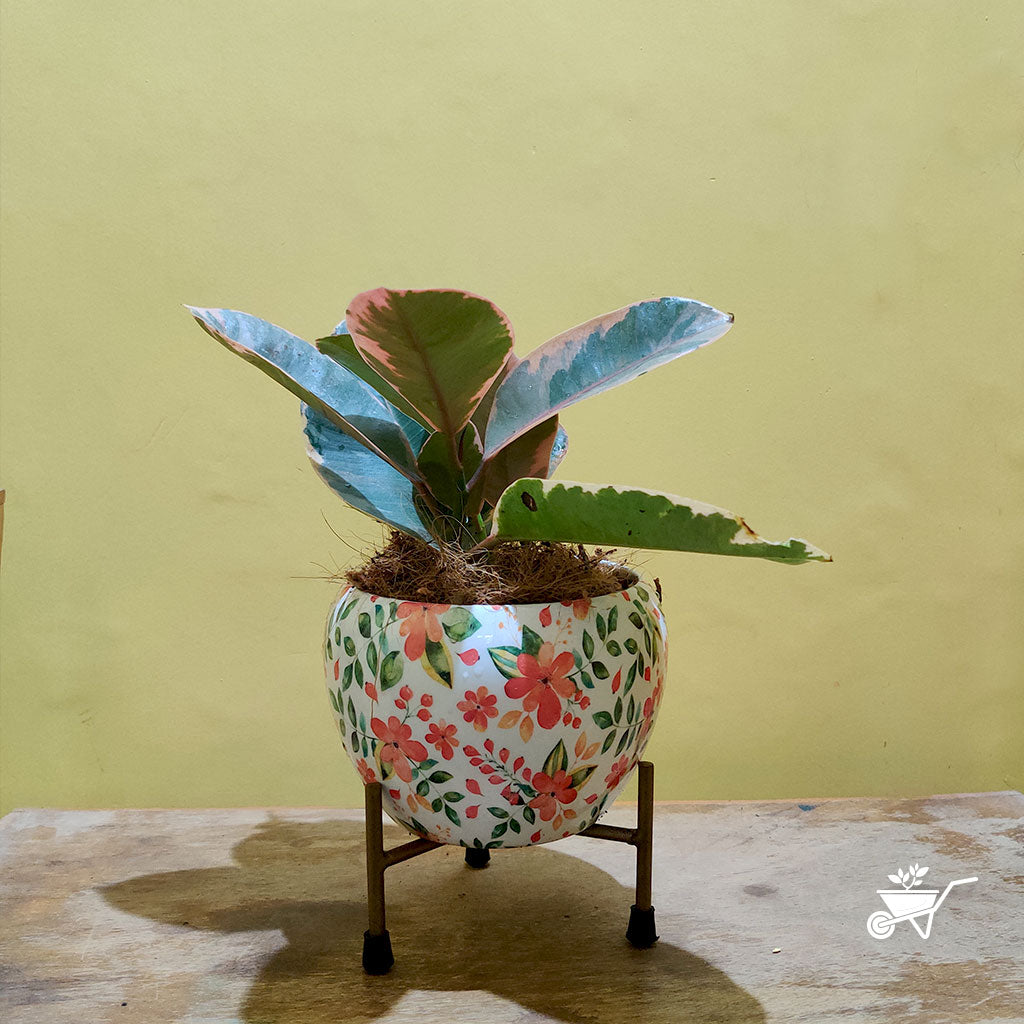 Hazy Bloom Metal Pot with Stand - myBageecha