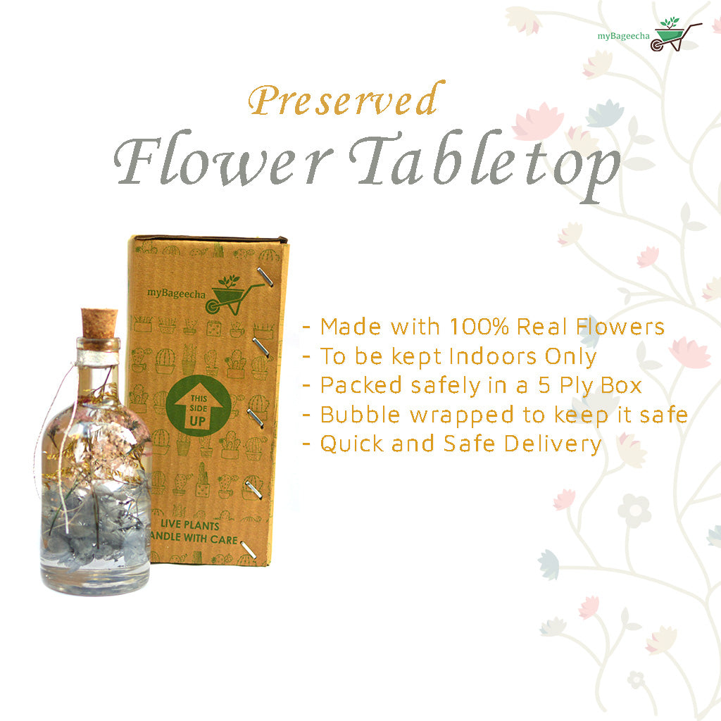 Hushed Caprice Preserved Flower Tabletop with box - myBageecha