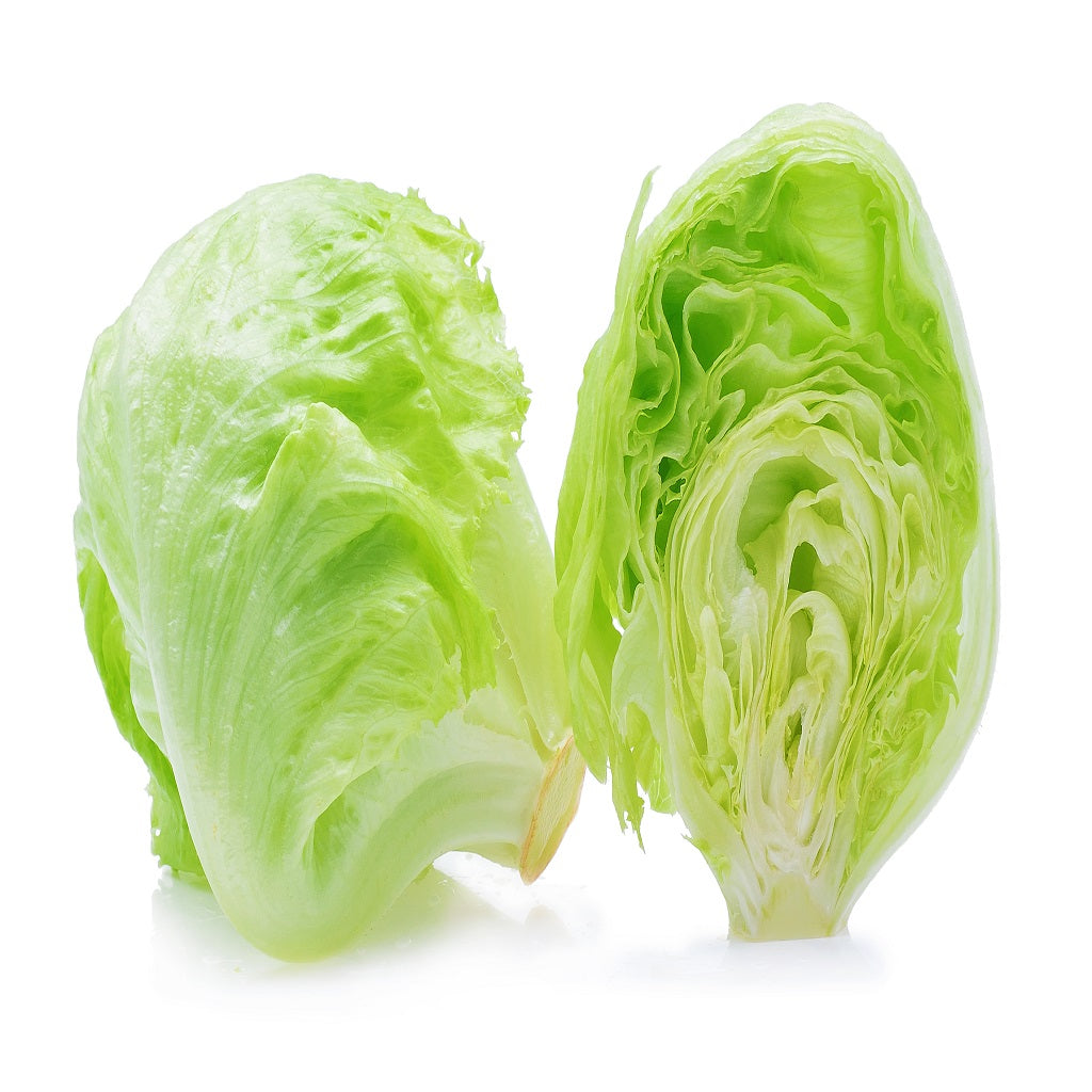 Organic Iceberg Lettuce annual leafy crop – myBageecha