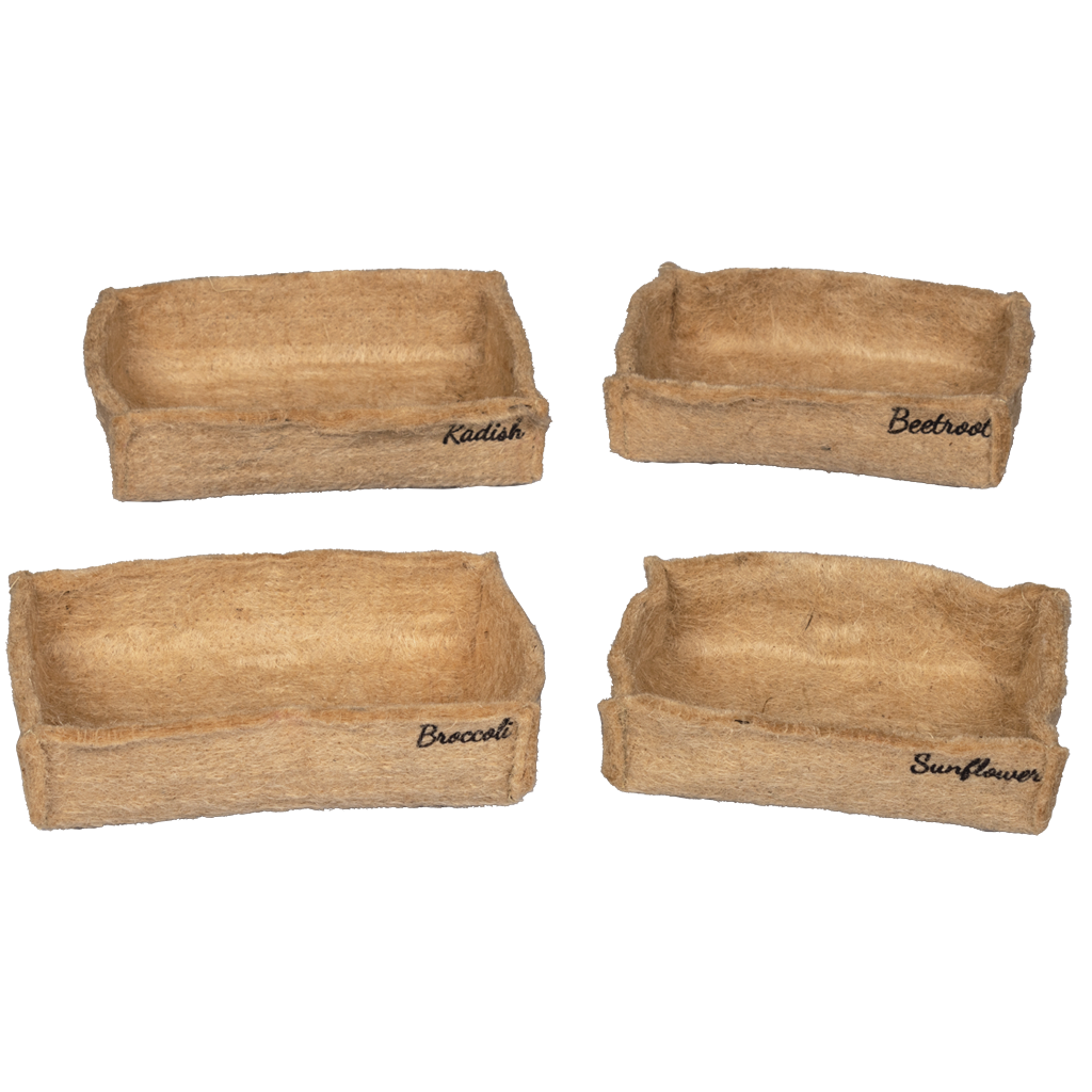 Eco Microgreen Grow Kit (Large) - myBageecha