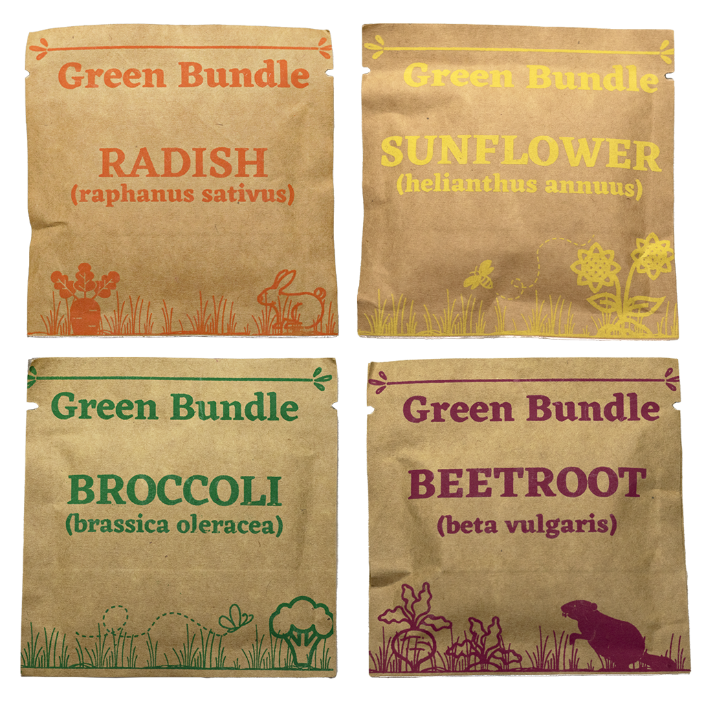 Large eco kit with tray, seeds & medium