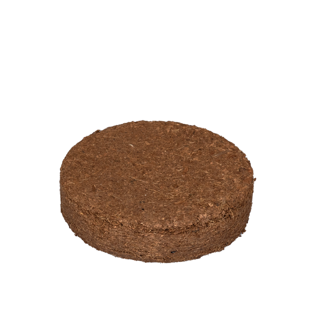 Eco Microgreen Grow Kit (Large) - myBageecha