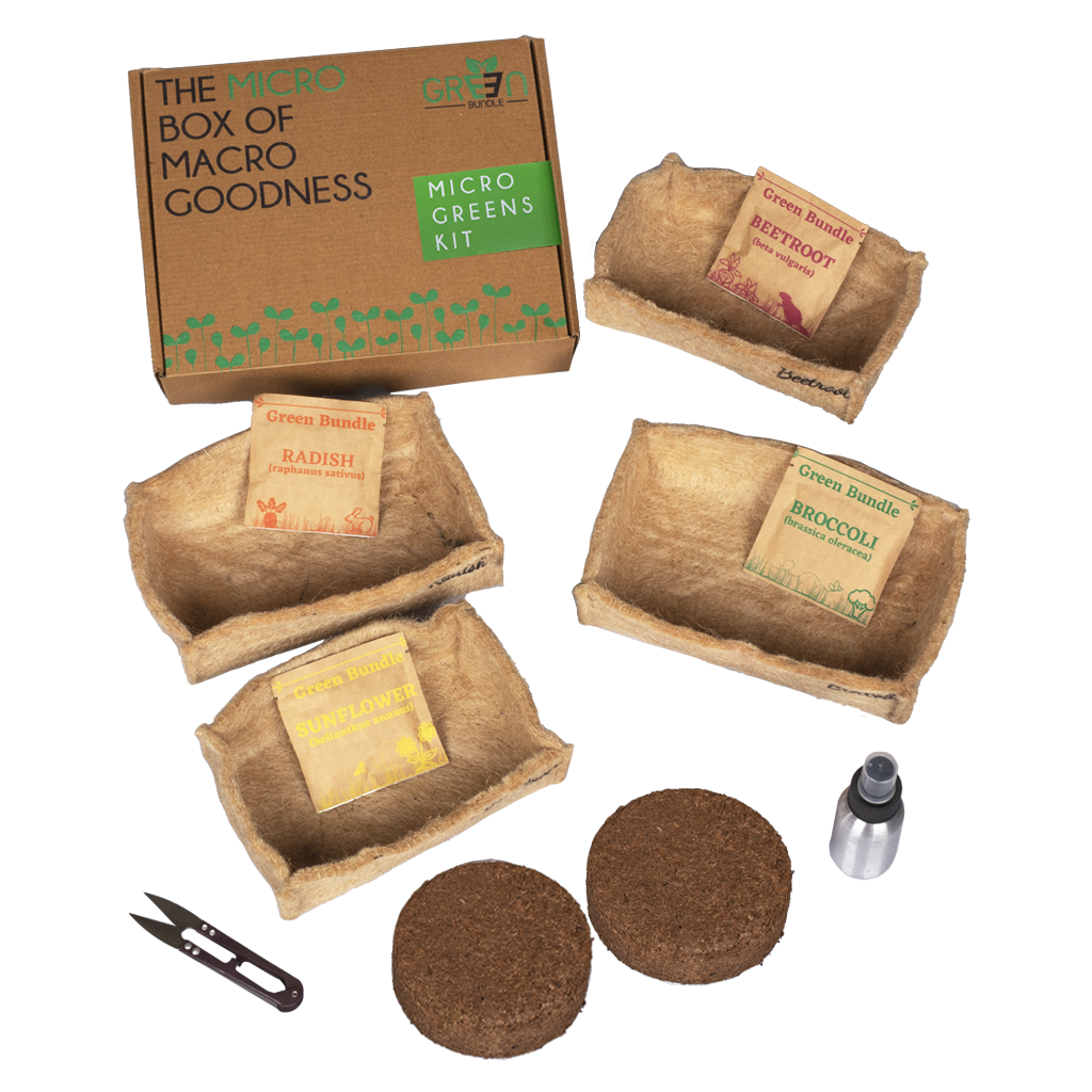 Eco Microgreen Grow Kit (Large) – myBageecha