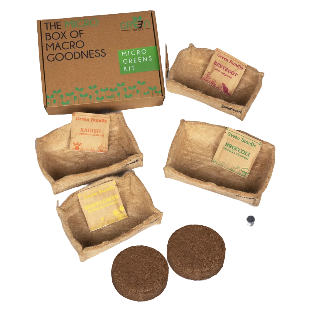 Eco Microgreen Grow Kit (Large) – myBageecha