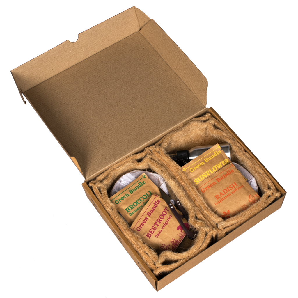 Eco Microgreen Grow Kit (Large) - myBageecha