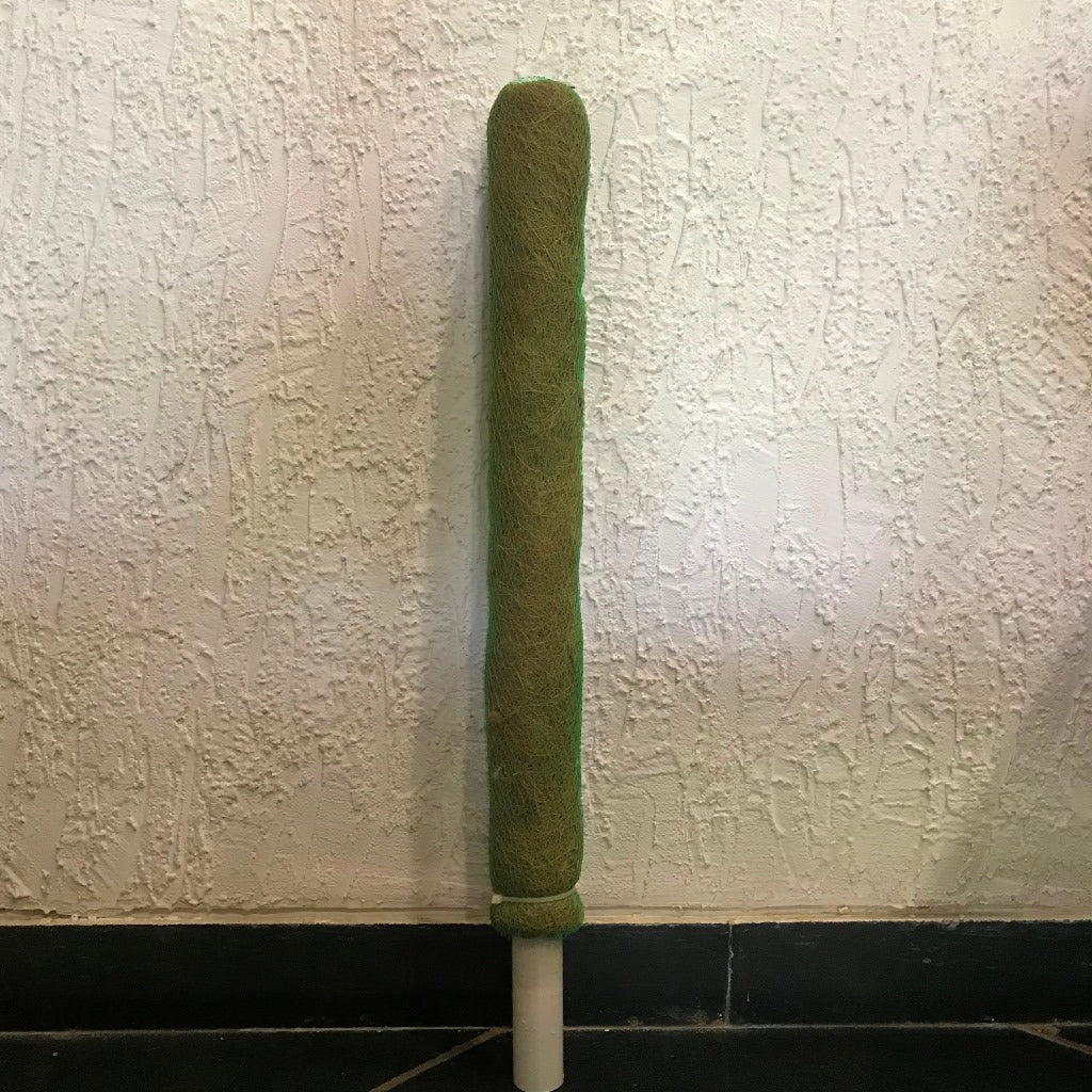 Coco Pole - myBageecha