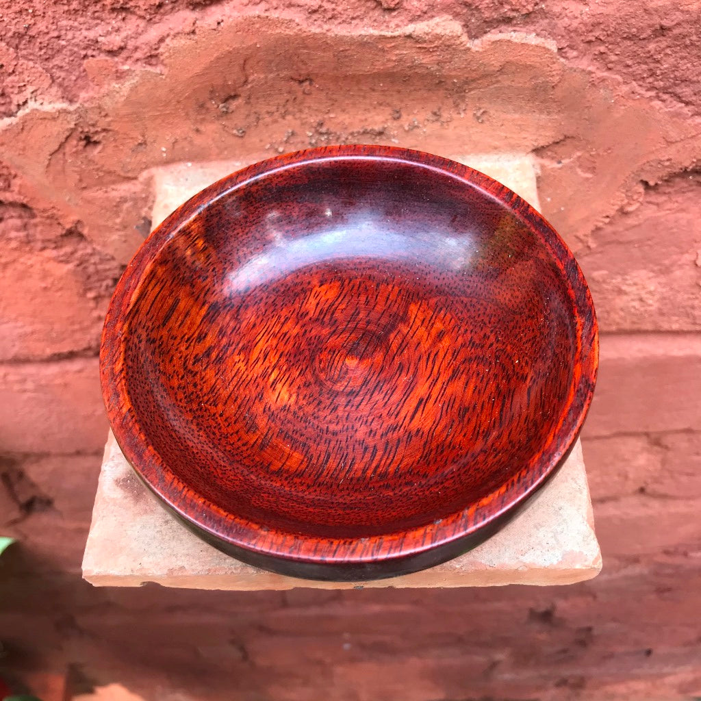 Kokedama Moss Ball Desert Pride Plant - myBageecha