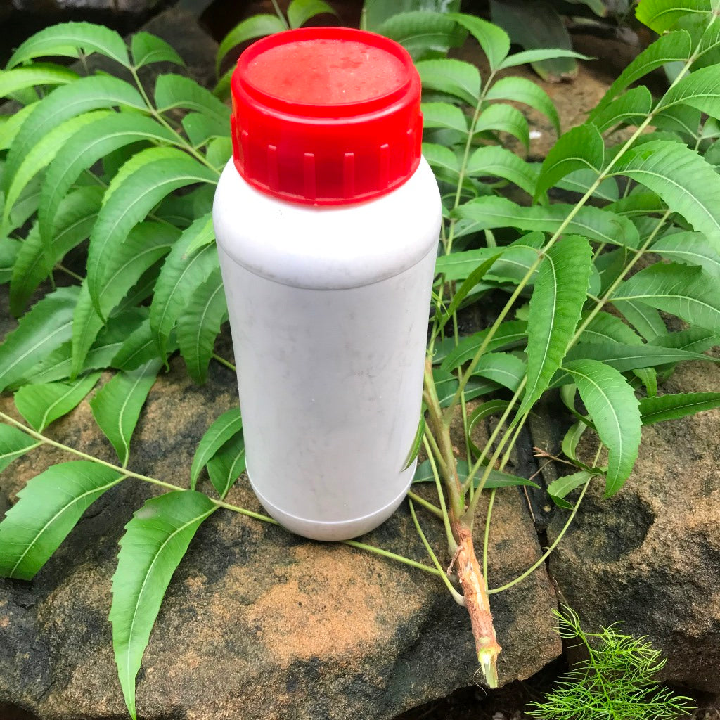 Neem Oil -Organic Insecticide - myBageecha