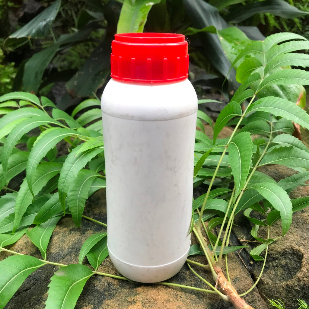 Neem Oil -Organic Insecticide - myBageecha