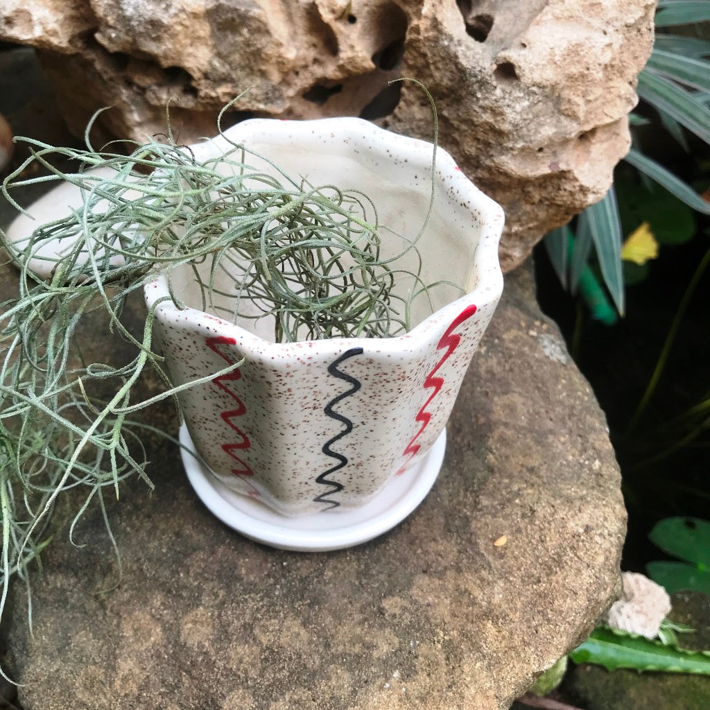 Zig Zag Cream Ceramic Pot With Tray – Zig Zag Design – myBageecha