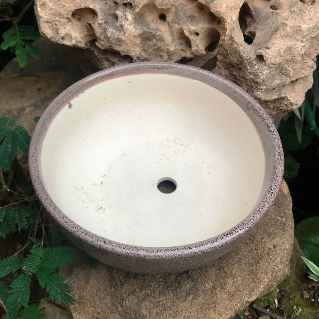 Exotic Metallic Bonsai Ceramic Pot (Medium) - myBageecha