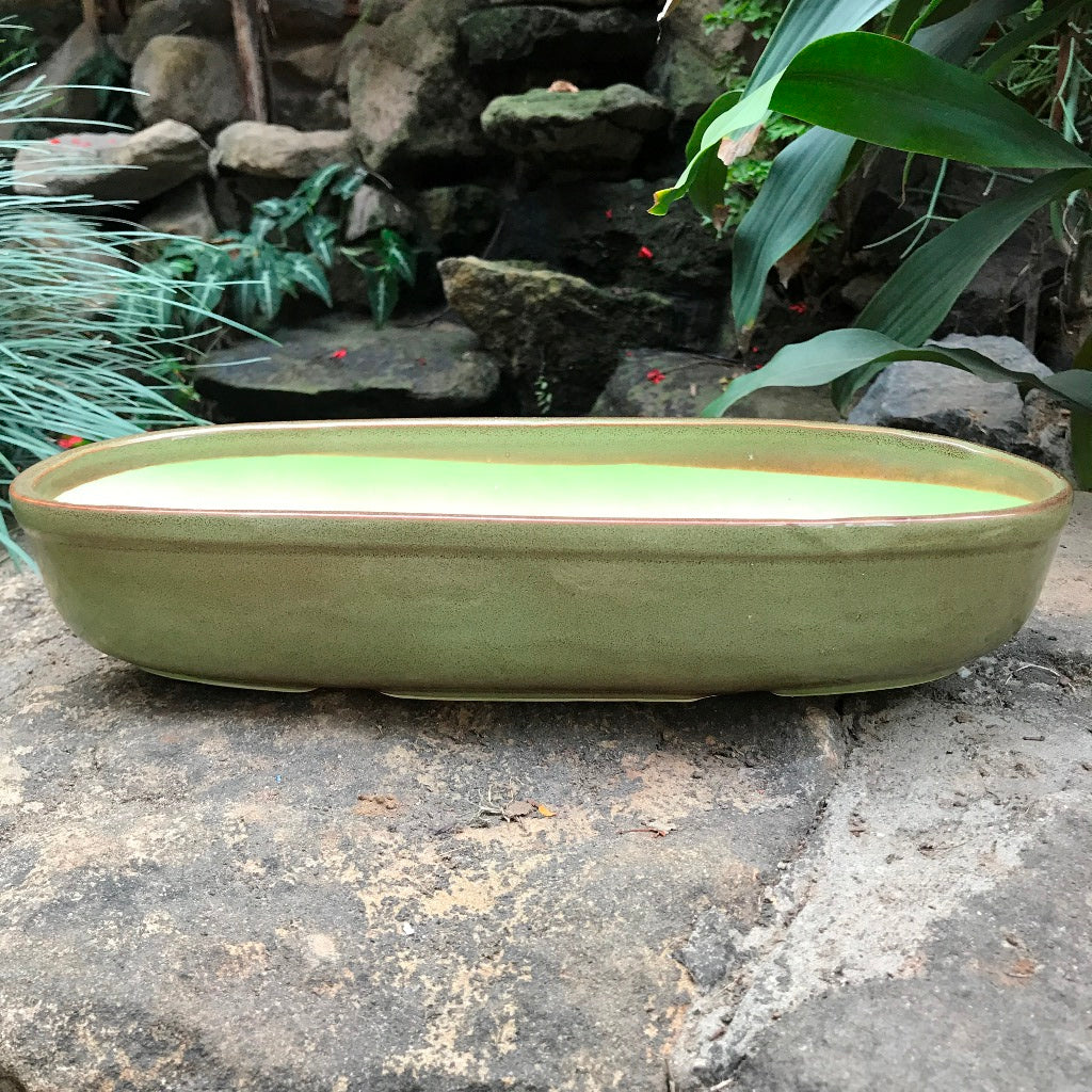 Chiselled Bonsai Ceramic Tray – Cypress Green – myBageecha