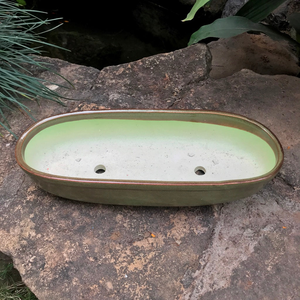 Chiselled Bonsai Ceramic Tray - myBageecha