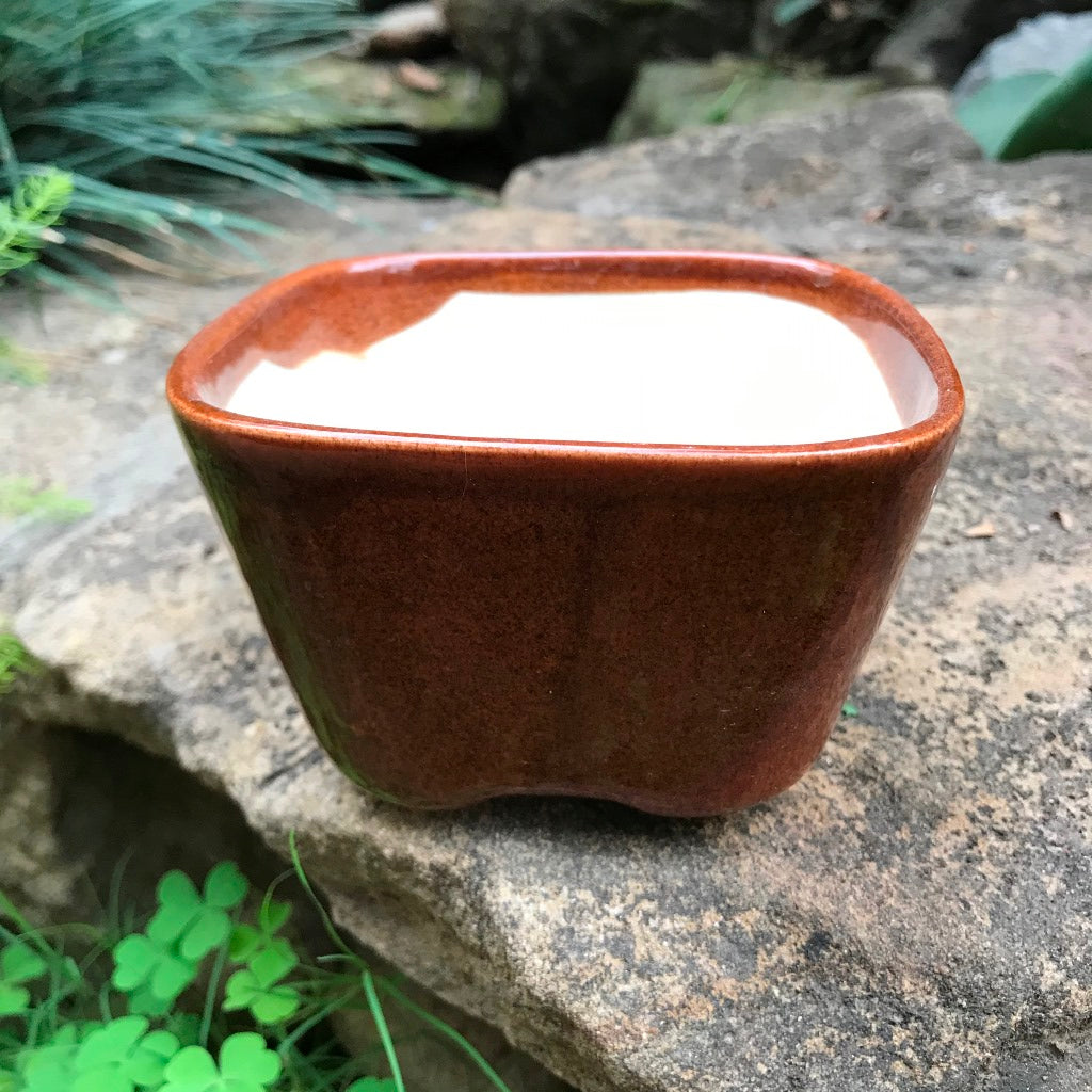 Square Bonsai Ceramic Planter - myBageecha