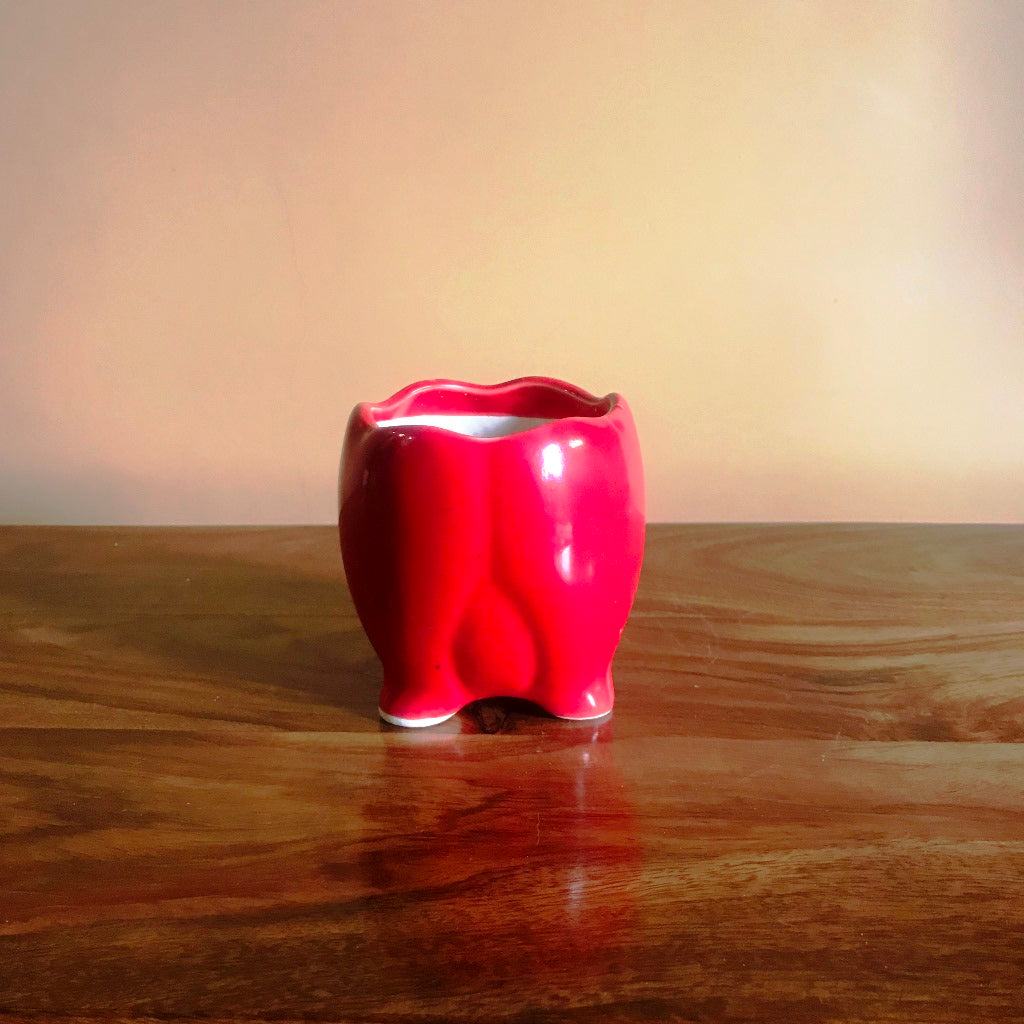 Sacred Lotus Ceramic Planter - myBageecha