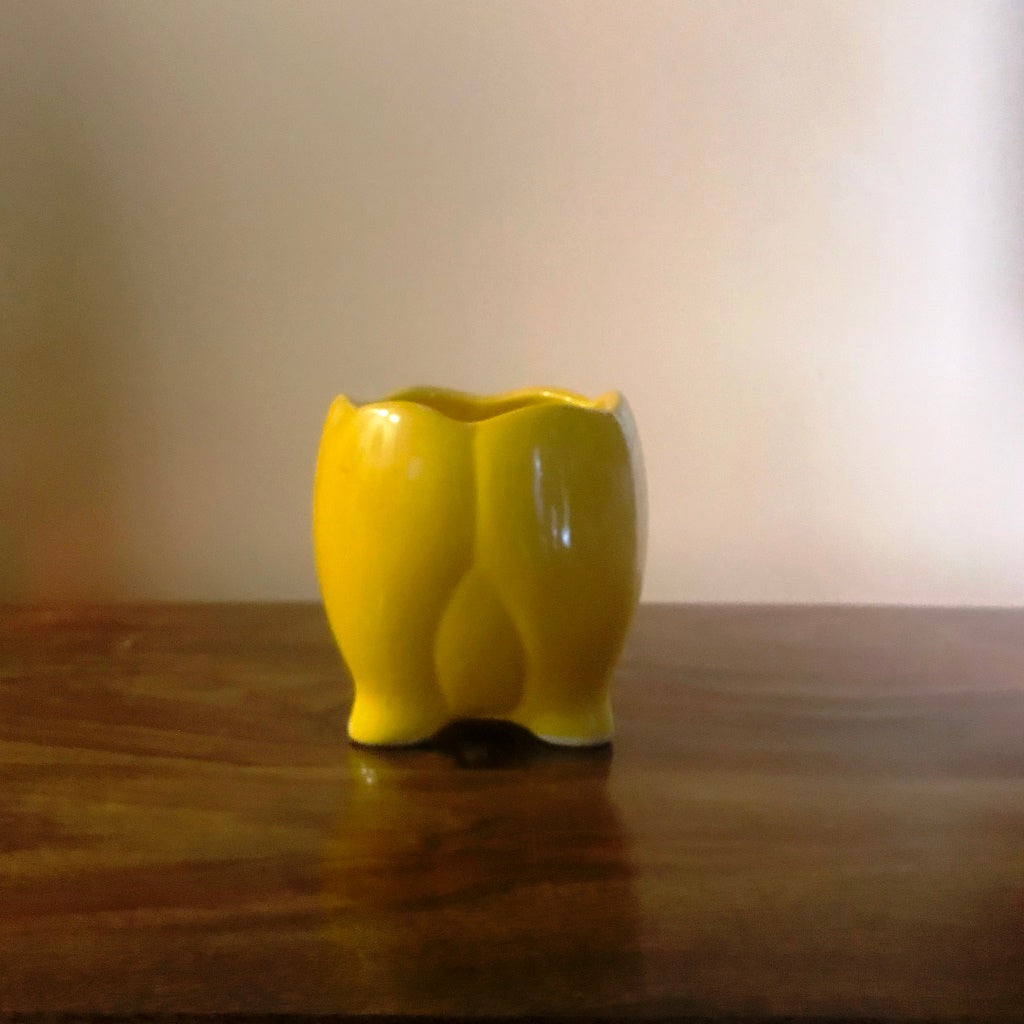 Sacred Lotus Ceramic Planter – Lemon Yellow – myBageecha