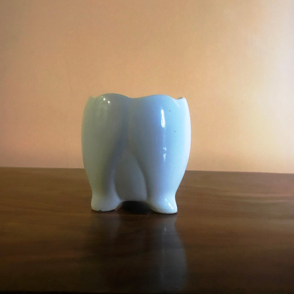 Sacred Lotus Ceramic Planter – White – myBageecha