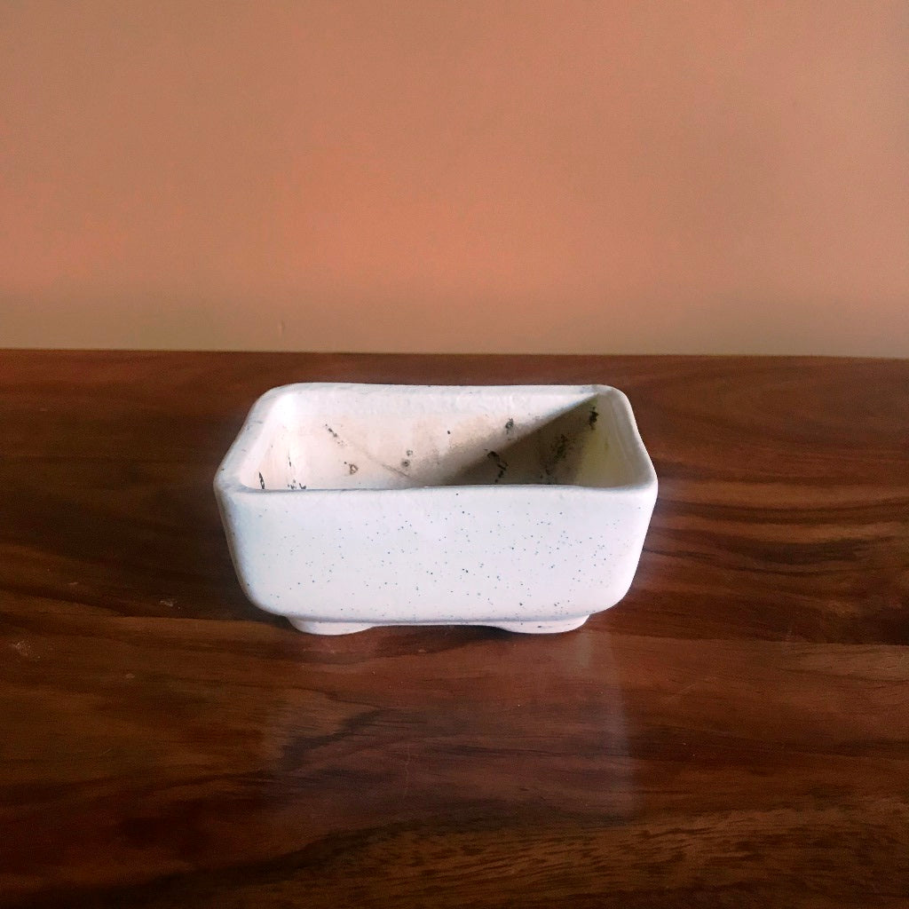 Rectangular Bonsai Ceramic Tray Set - myBageecha