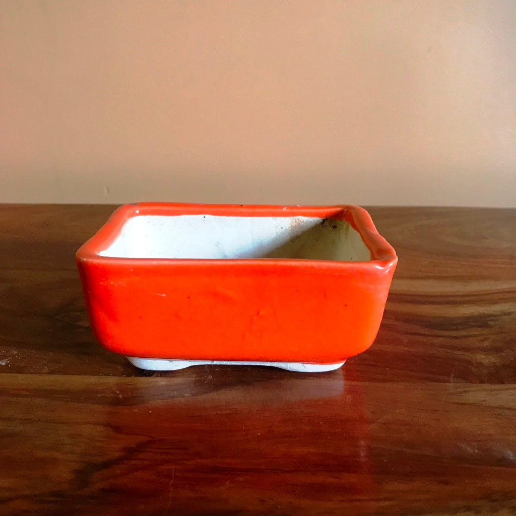 Rectangular Bonsai Ceramic Tray Set - myBageecha
