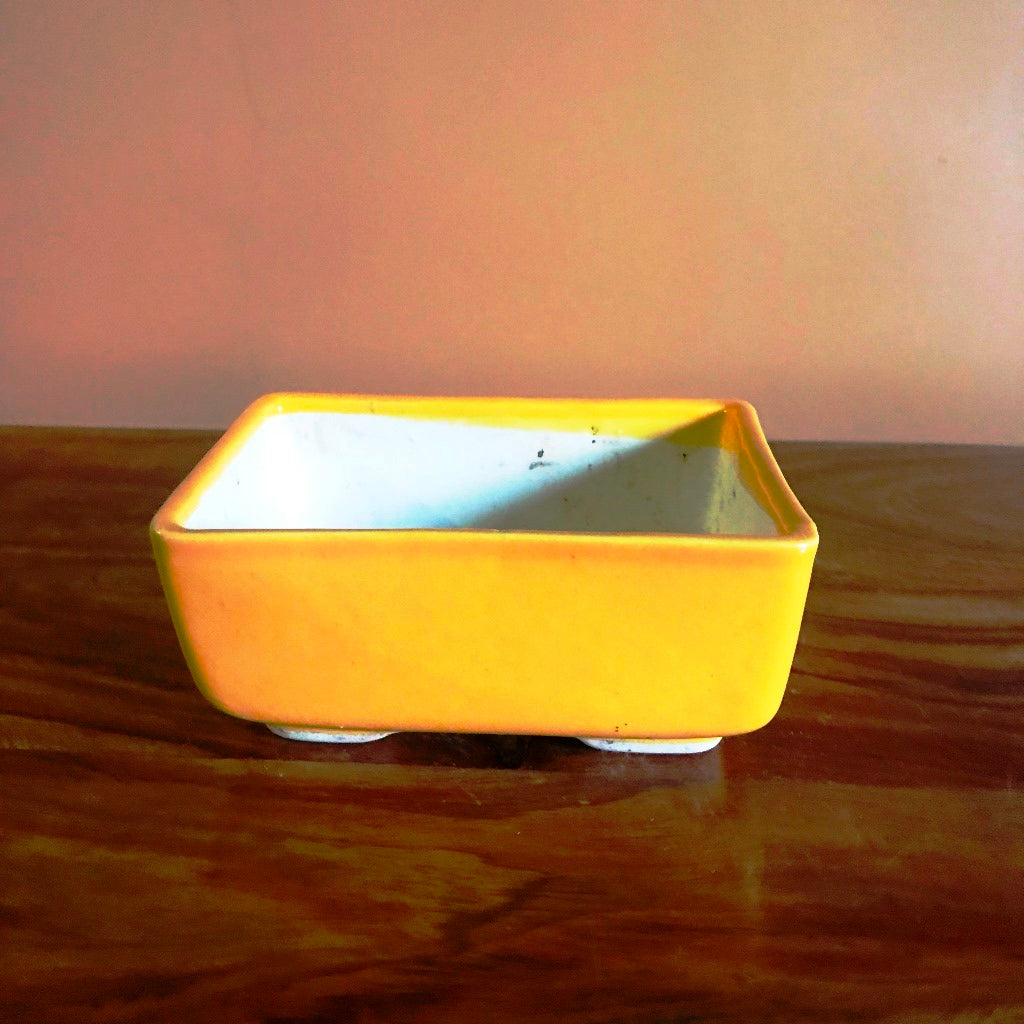 Rectangular Bonsai Ceramic Tray Set - myBageecha