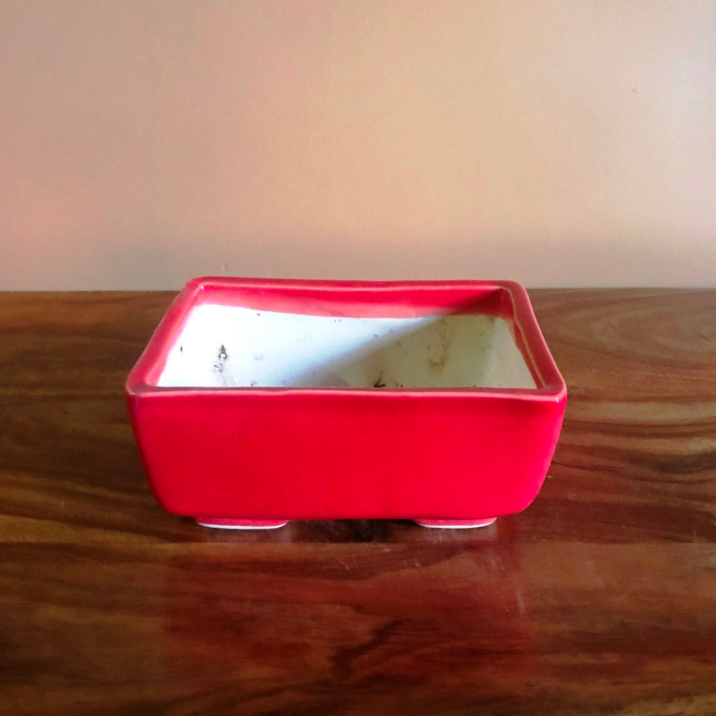 Rectangular Bonsai Ceramic Tray Set - myBageecha