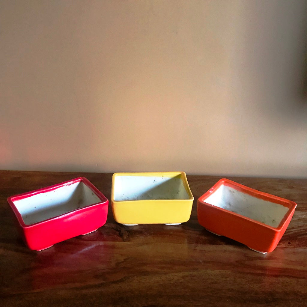 Rectangular Bonsai Ceramic Tray Set - myBageecha