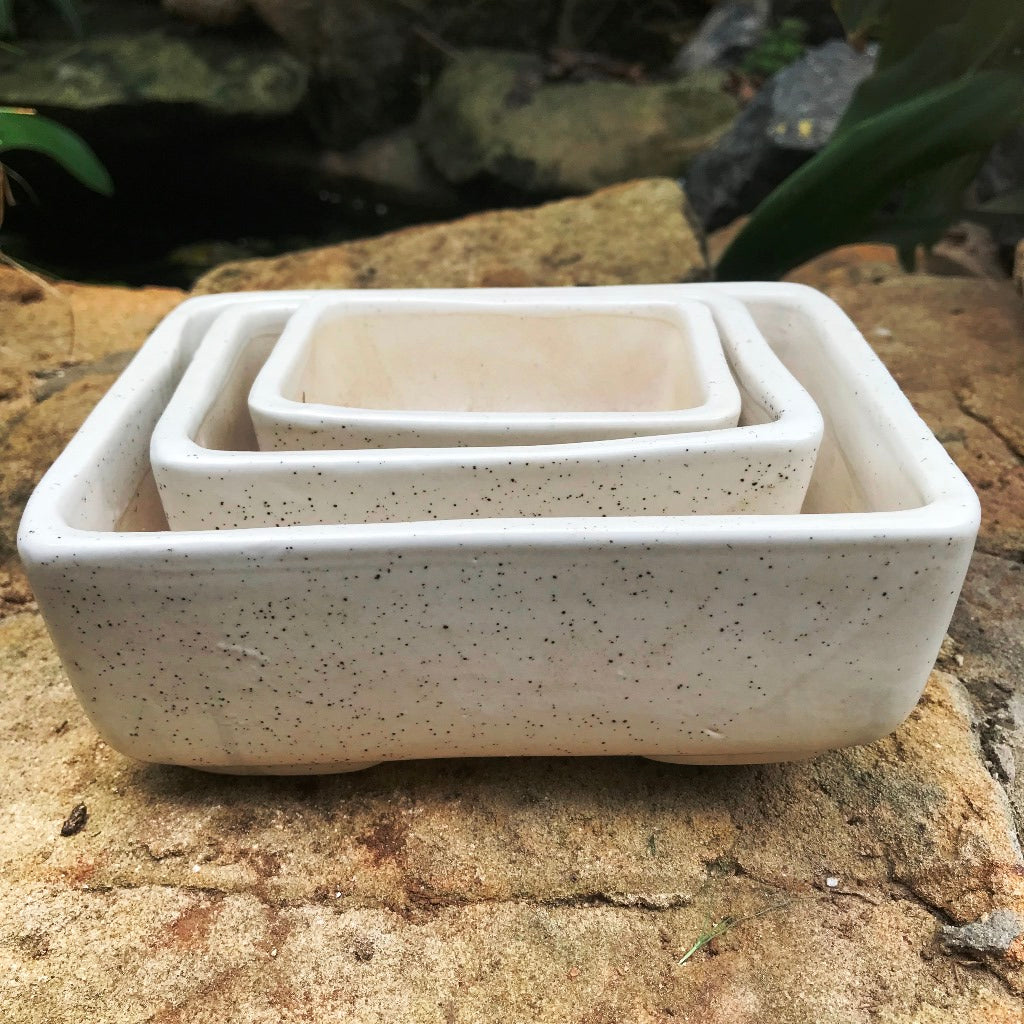 Rectangular Bonsai Ceramic Tray Set - myBageecha