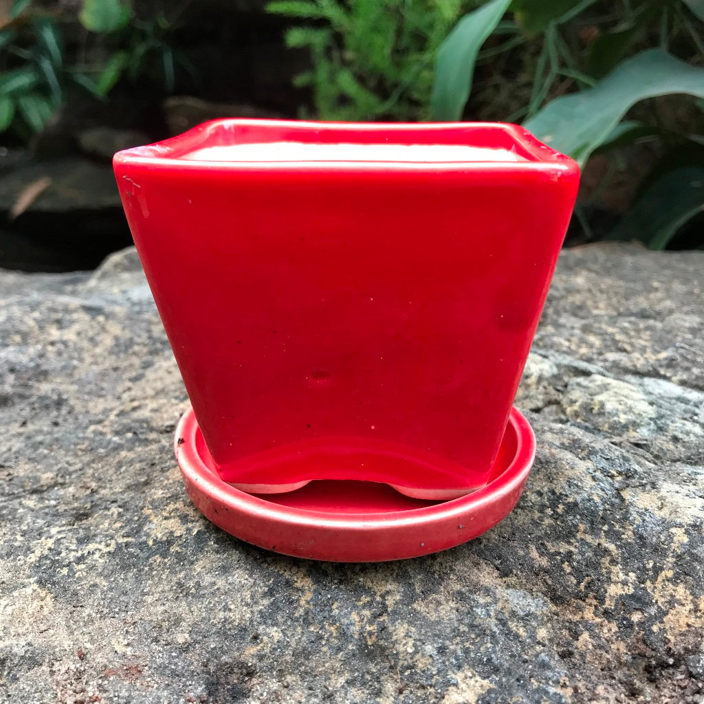 On the Move Ceramic Pot With Tray – myBageecha