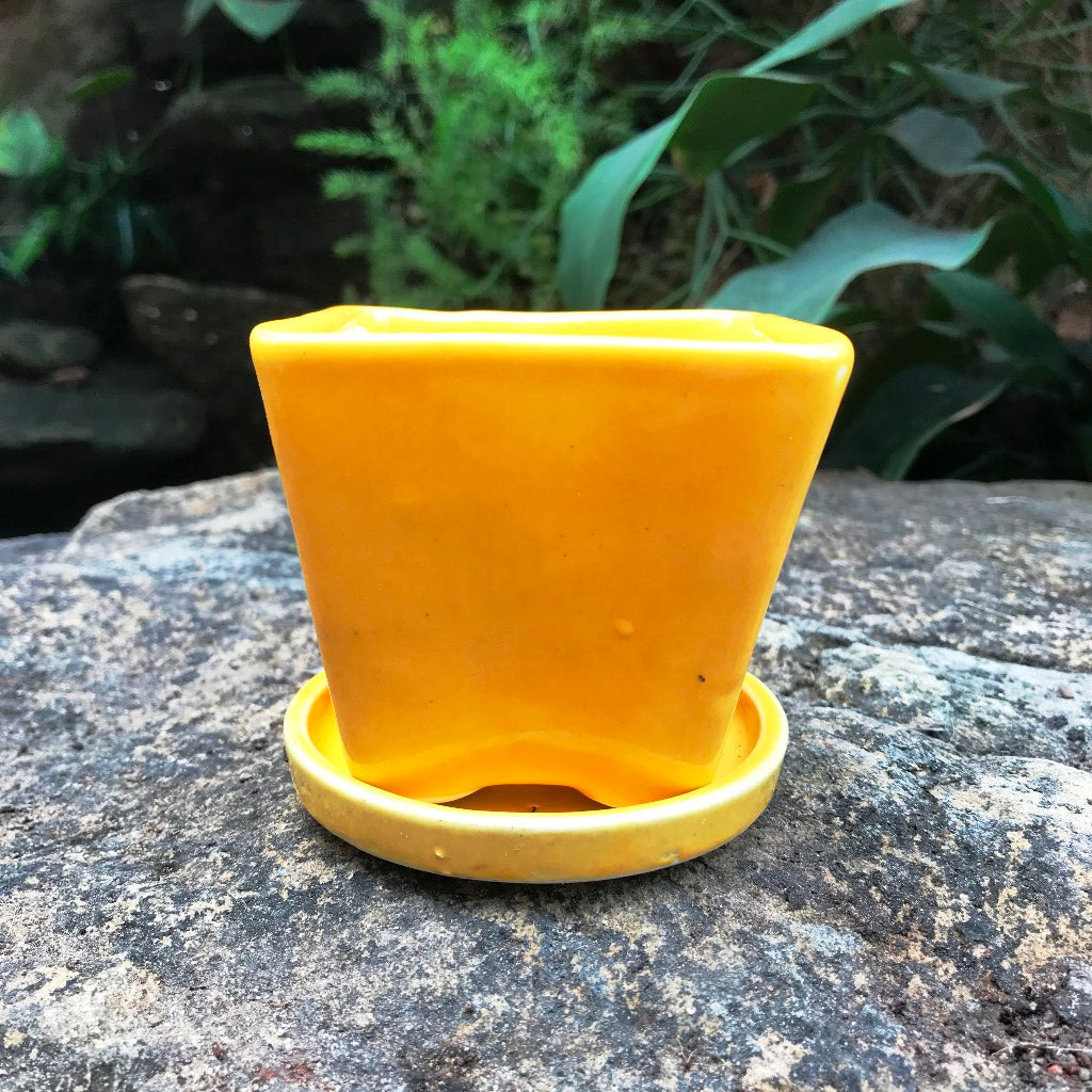 On the Move Ceramic Pot With Tray – Yellow – myBageecha