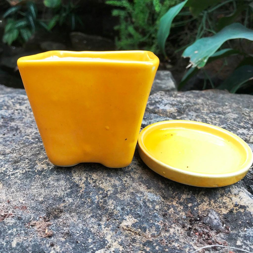 On the Move Ceramic Pot With Tray - myBageecha
