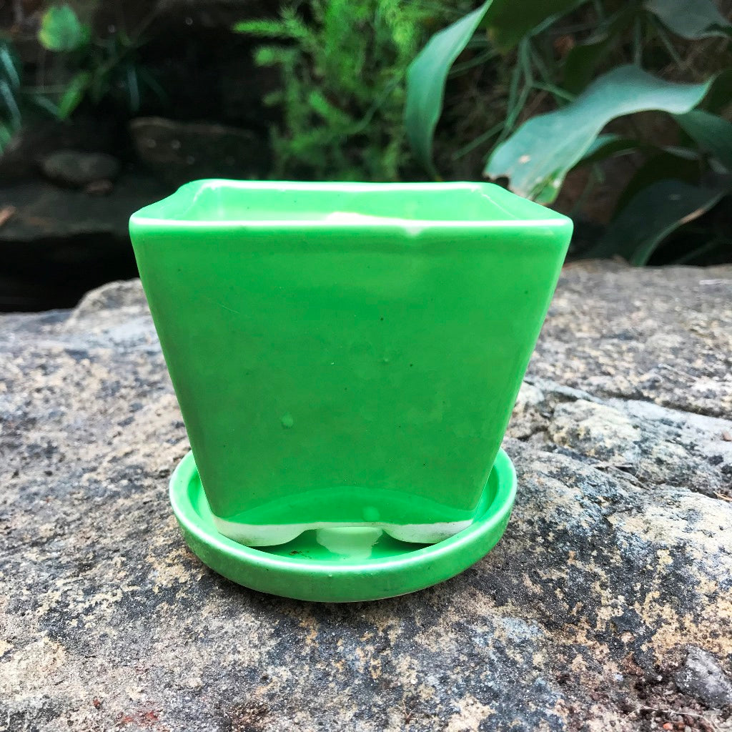 On the Move Ceramic Pot With Tray – Sea Green – myBageecha