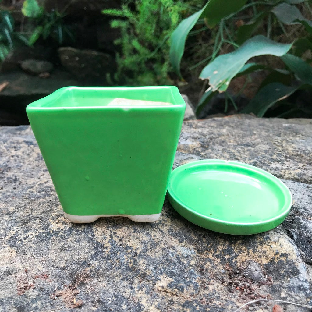 On the Move Ceramic Pot With Tray - myBageecha