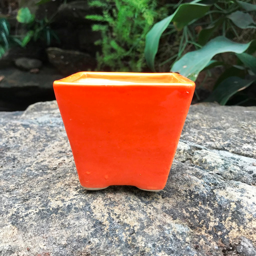 On the Move Ceramic Pot With Tray – Orange – myBageecha