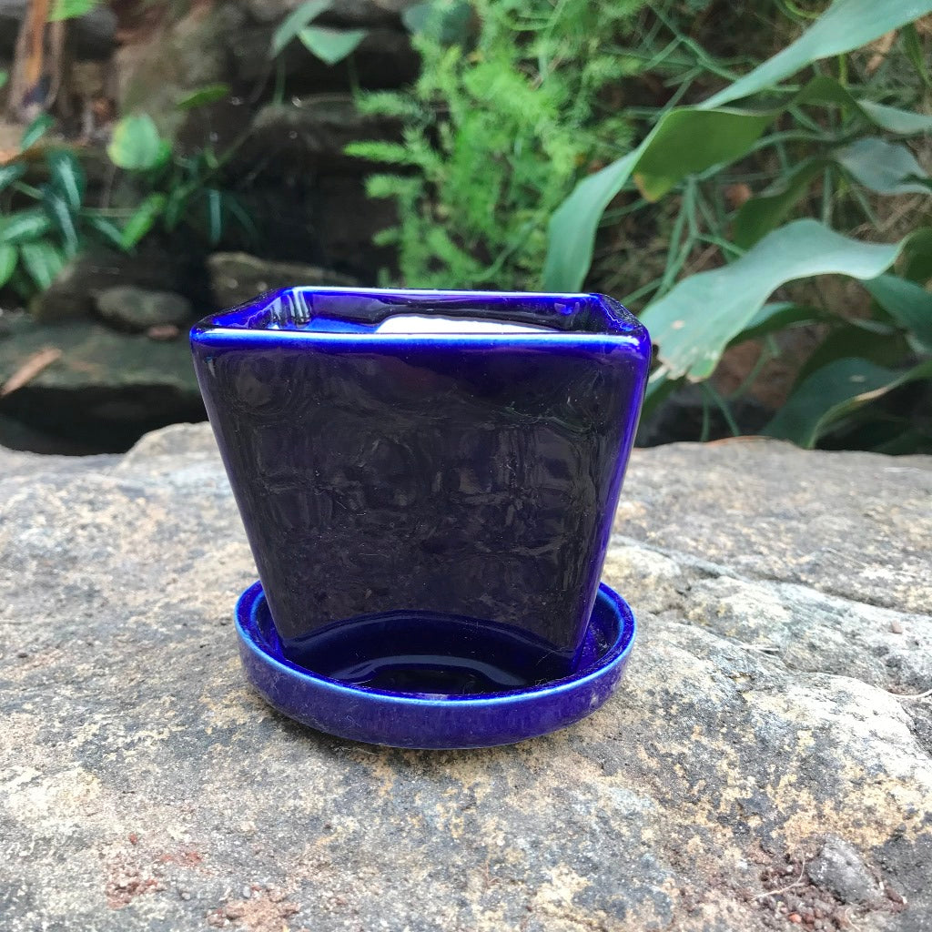 On the Move Ceramic Pot With Tray – Violet – myBageecha