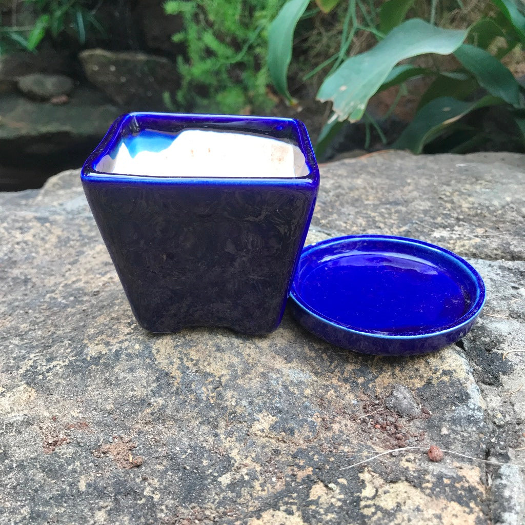 On the Move Ceramic Pot With Tray - myBageecha