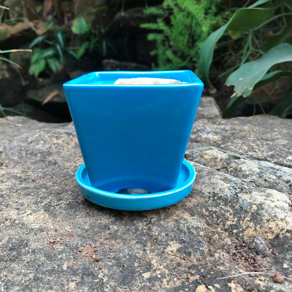 On the Move Ceramic Pot With Tray – Blue – myBageecha