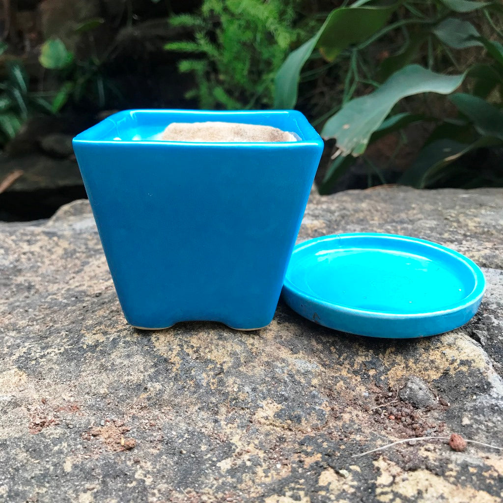 On the Move Ceramic Pot With Tray - myBageecha