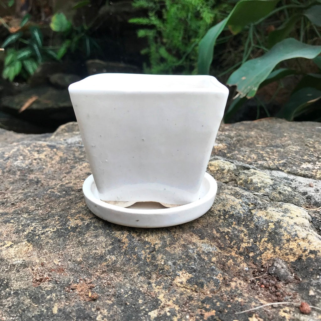 On the Move Ceramic Pot With Tray – White – myBageecha