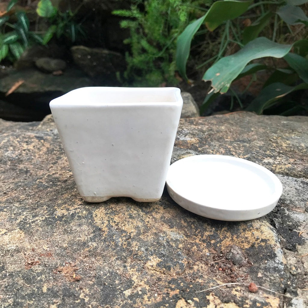On the Move Ceramic Pot With Tray - myBageecha
