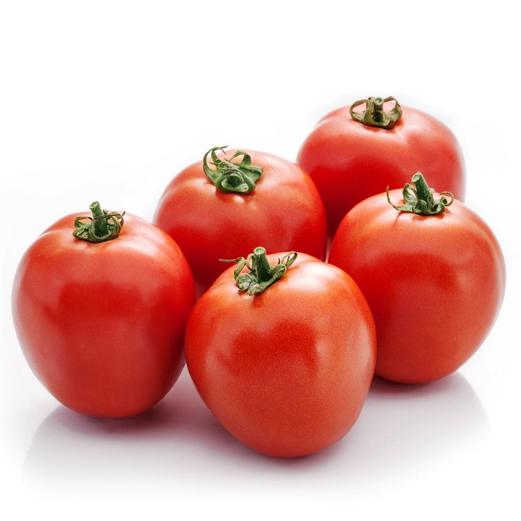 Tomato Indam 13201 [HY] - Monsoon Variety Vegetable Seeds - myBageecha