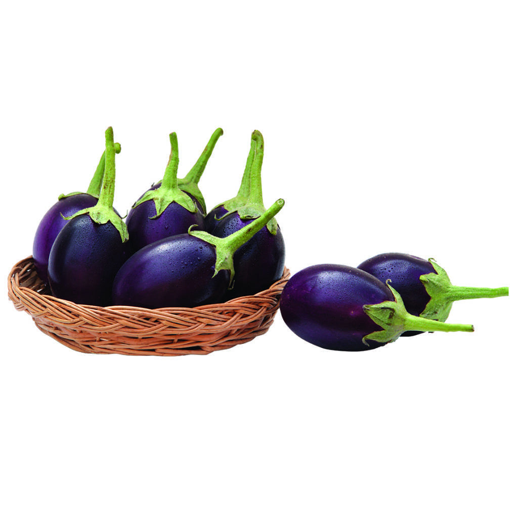 Brinjal Indam Jeeva annual hybrid crop – myBageecha