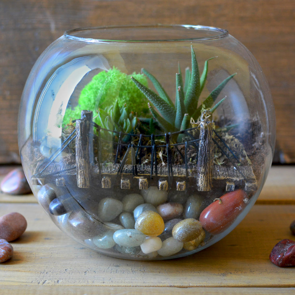 Into the Wild Terrarium Kit - myBageecha