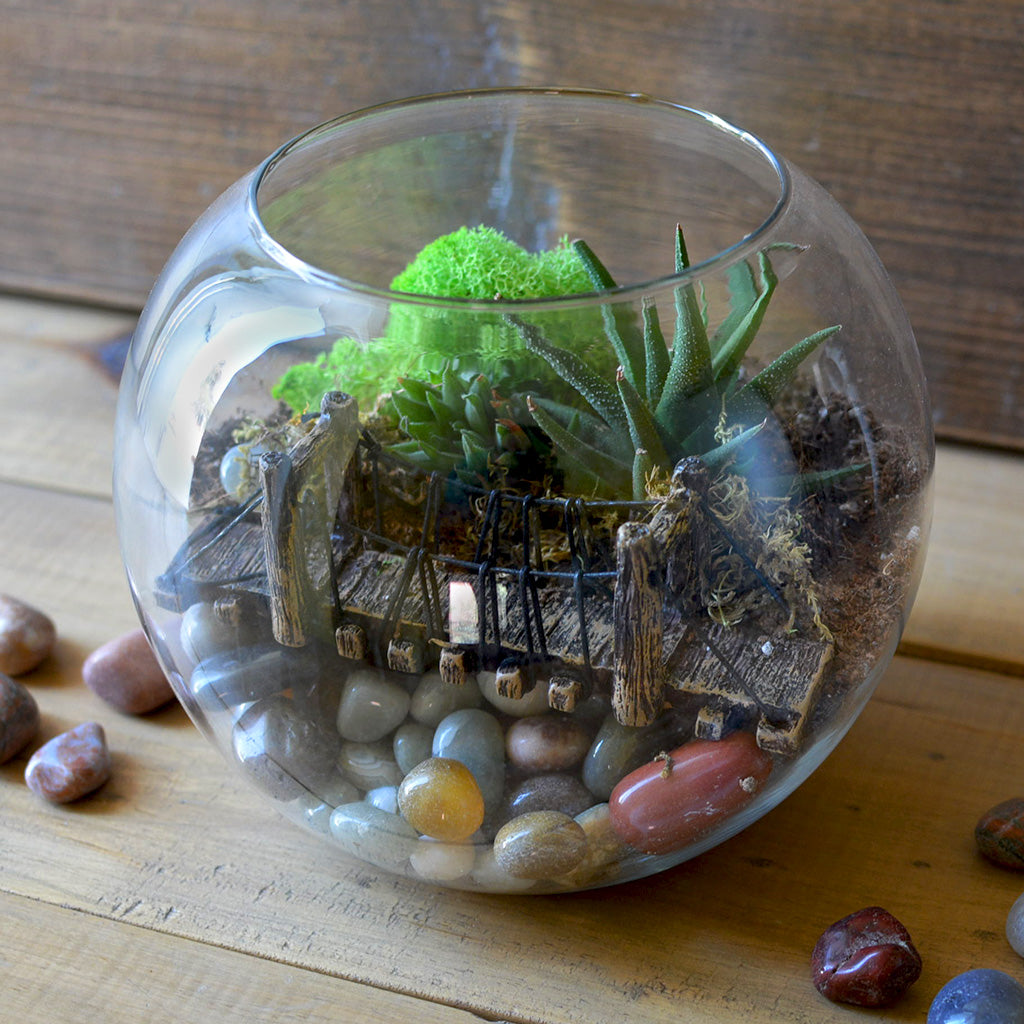 Into the Wild Terrarium Kit - myBageecha