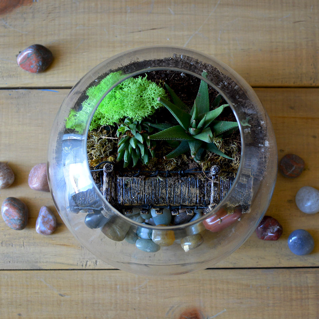Into the Wild Terrarium Kit - myBageecha