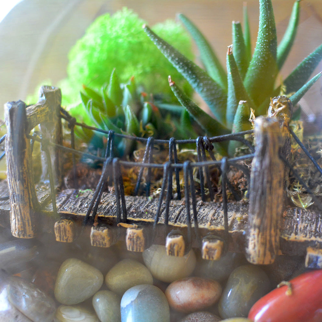 Into the Wild Terrarium Kit - myBageecha