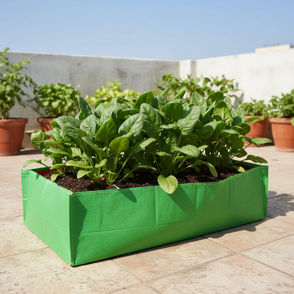 HDPE UV Grow Bag 24 x 12 x 6 Inch Rectangular (Spinach & Leafy Greens) – myBageecha